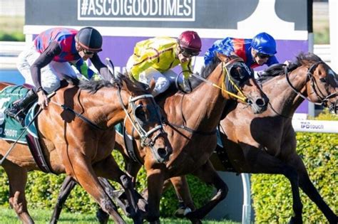 kingston town classic betting|Northerly Stakes 2024 .